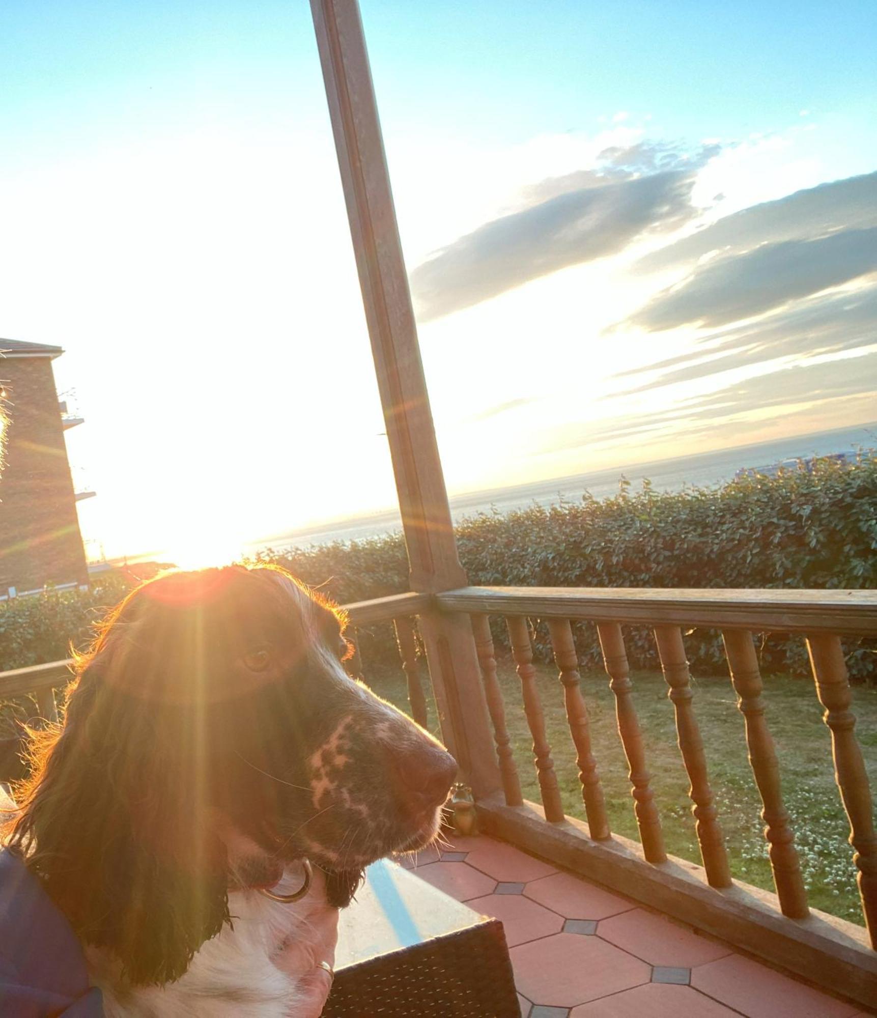 Sea Forever Oceanfront Home Perfectly Saltburn Екстер'єр фото