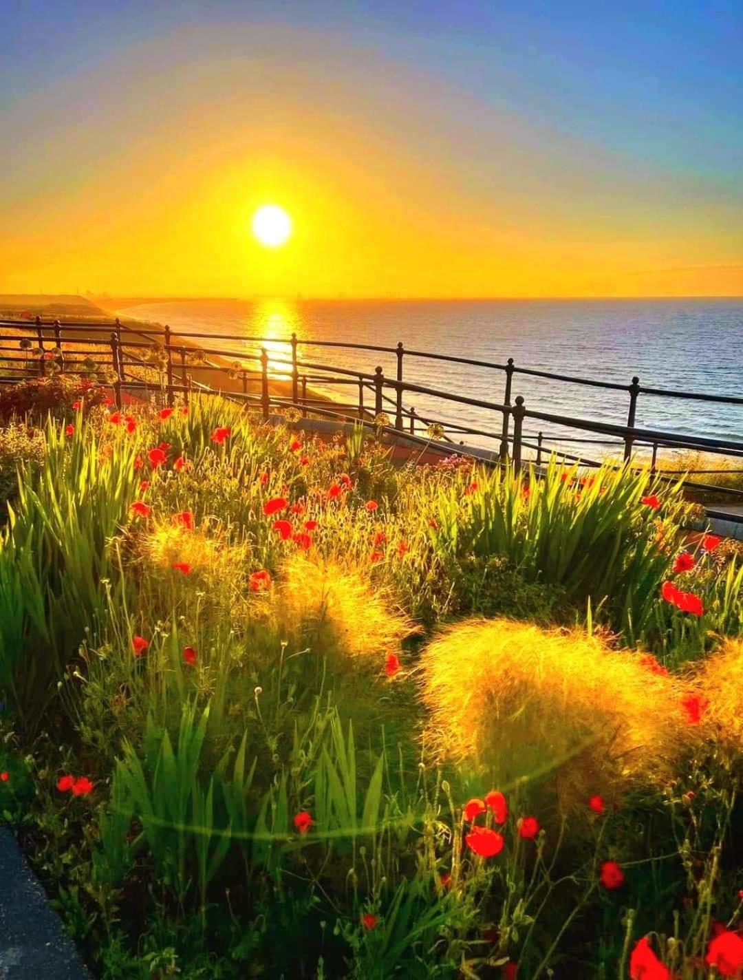 Sea Forever Oceanfront Home Perfectly Saltburn Екстер'єр фото