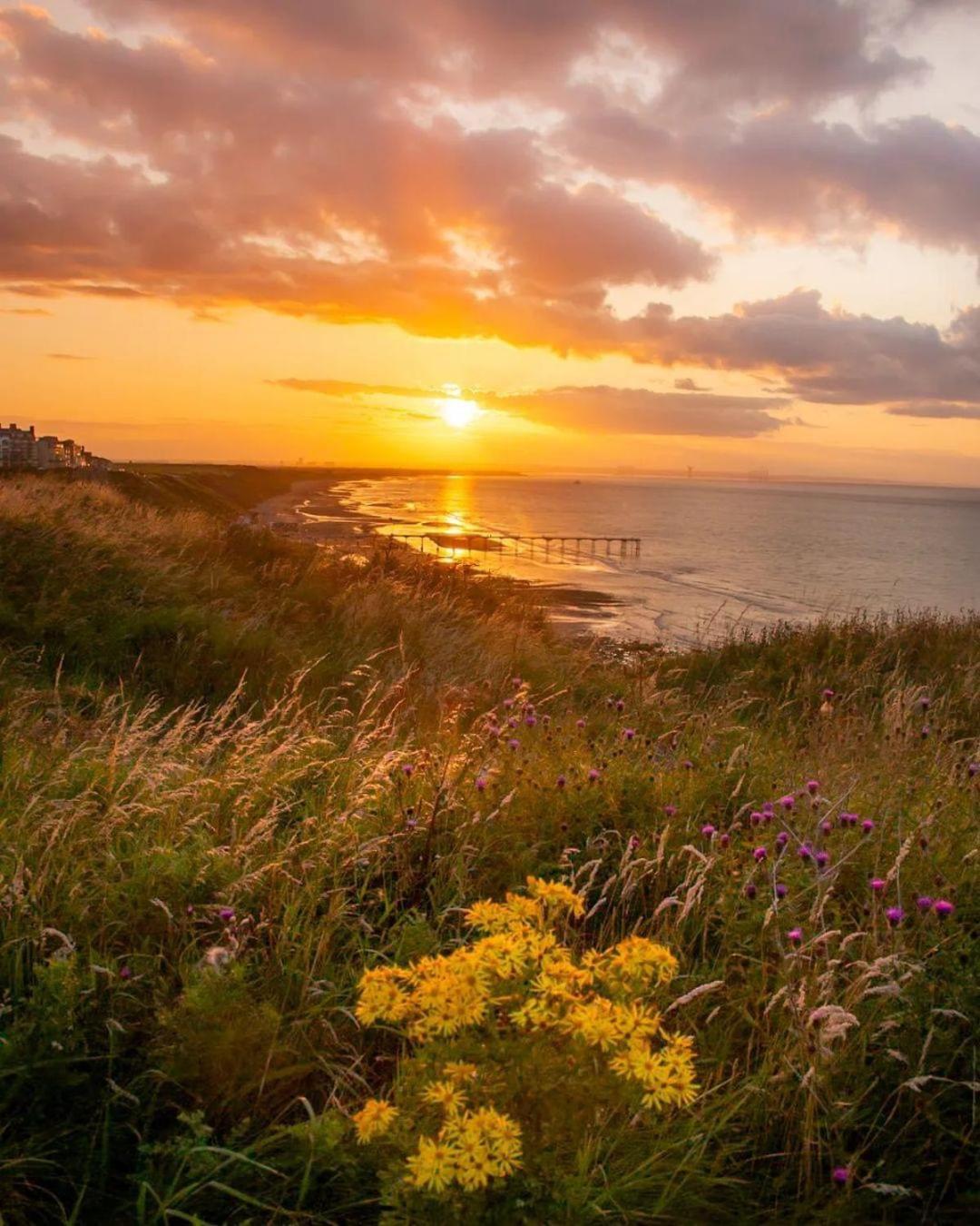 Sea Forever Oceanfront Home Perfectly Saltburn Екстер'єр фото
